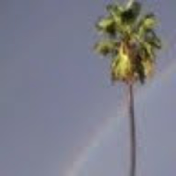 Meet your Posher, Sweeni - Picture 1 of 1